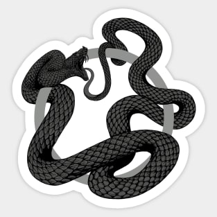 ouroboros Sticker